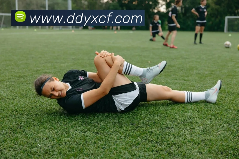 多媒体互动体验